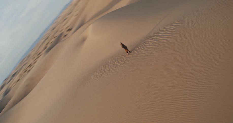 A clip of a person walking the desert