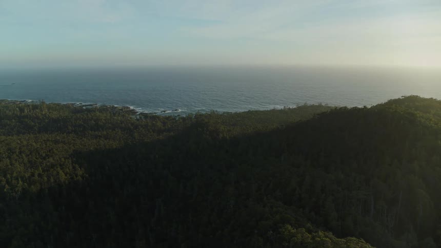 A panoramic view of a rugged coastline with a dense forest leading down to a rocky shore and the vast ocean beyond