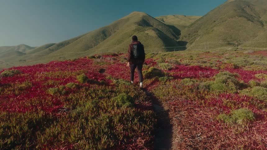 A man hikes down the valley