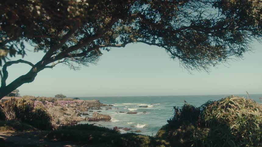 Trees move in the breeze as waves roll in and splash against rocks along the coast