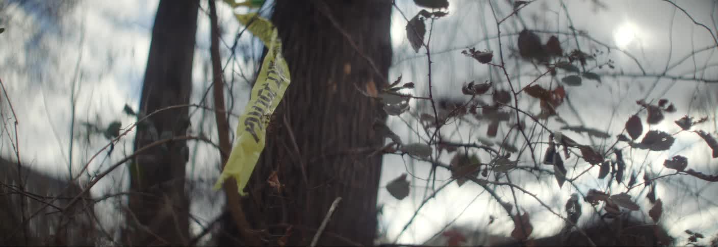 A piece of yellow police tape is tied to a tree trunk in a wooded area with bare branches and leaves