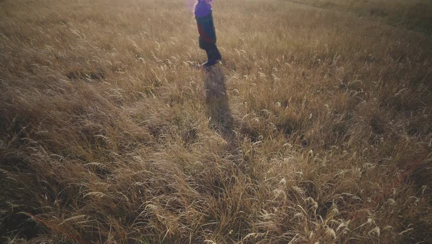A person walking on a beige grass field