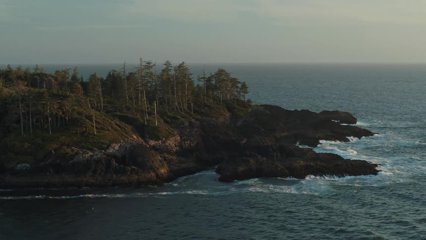 A rocky shoreline with tall dark trees is lapped by waves of the ocean at sunset