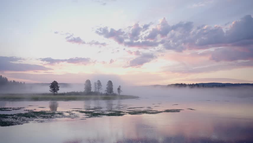 A landscape of a lake with still water and some trees in the middle of a small island and behind there is a little fog