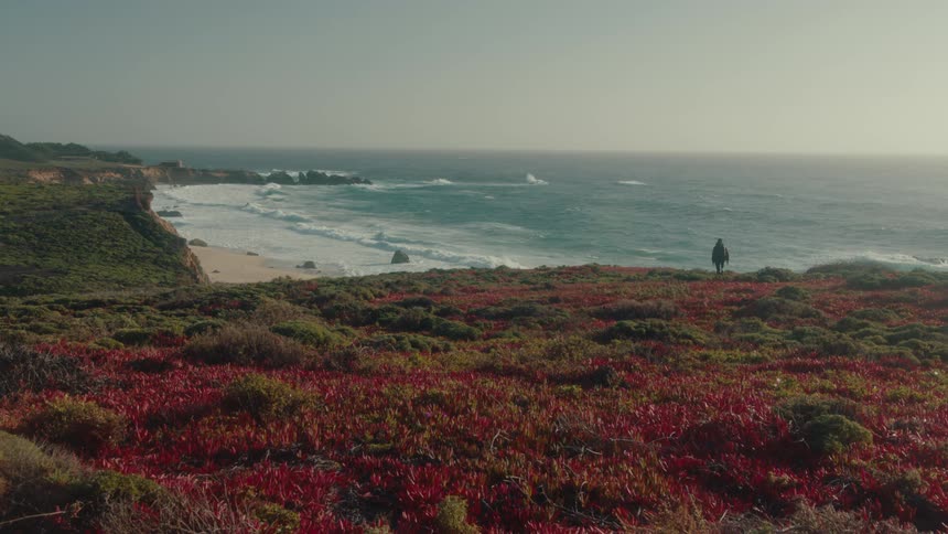 Person walks along coastal cliff ocean landscape