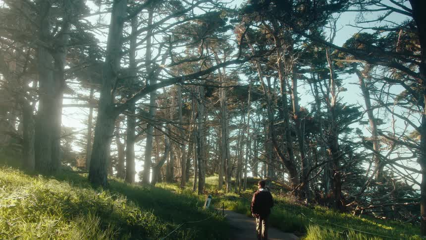 Person walking along a trail in a treelined environment