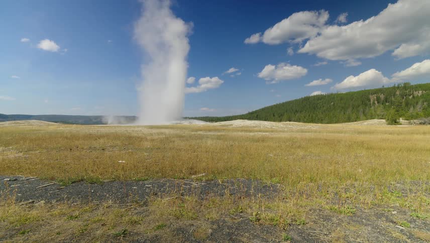 Geyser sprays the air in a field near a forest covered hill on a cloudy day