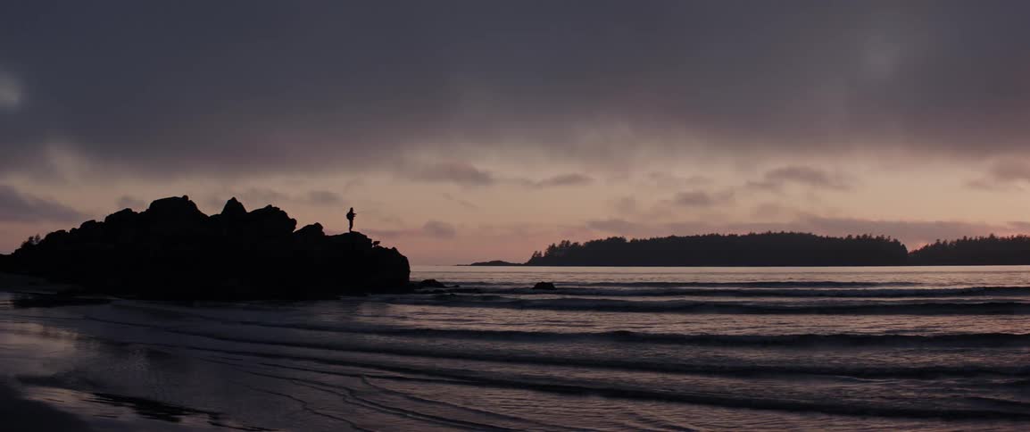 Silhouette of a person and dog on a rock rising from the ocean at dusk