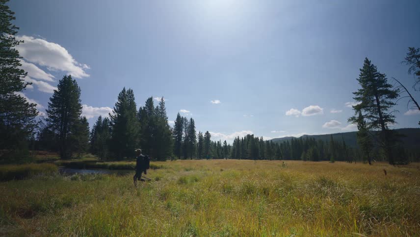 A person with a backpack walking through a grassy field with tall trees and a clear blue sky overhead