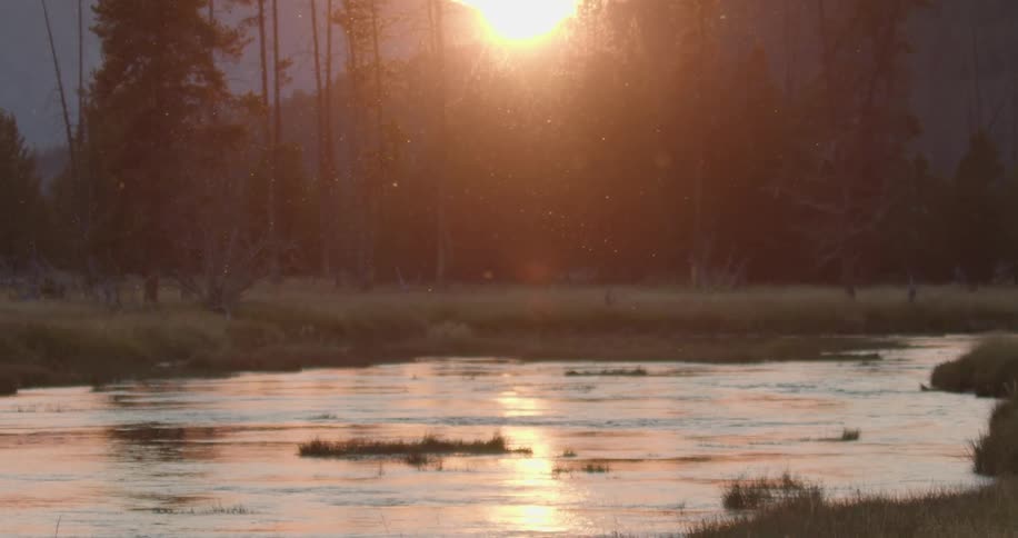 The sun sets over a moor