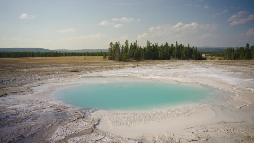Landscape of a natural pool with a field of conifers in the background