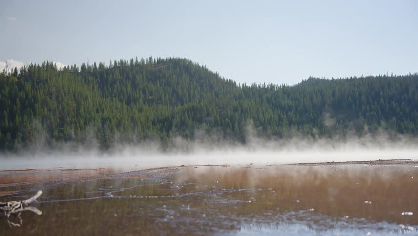 Steam rises from the spring by the forest