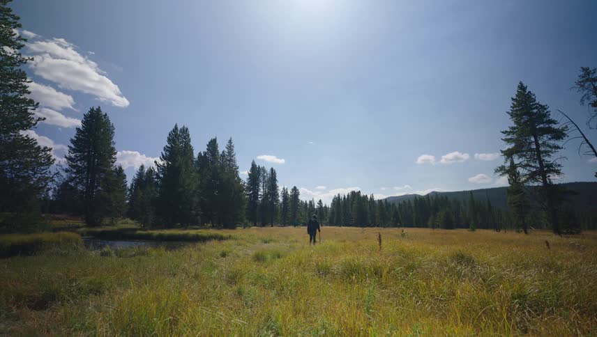 Man walking on a green field surrounded by a coniferous forest
