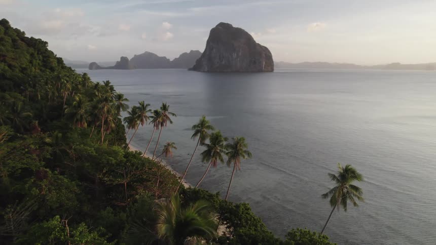 A pristine beach lined with swaying palm trees stretches along a turquoise sea with a small island visible in the distance