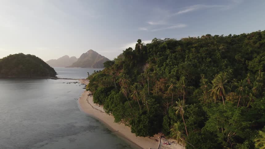 A lush jungle is on the island