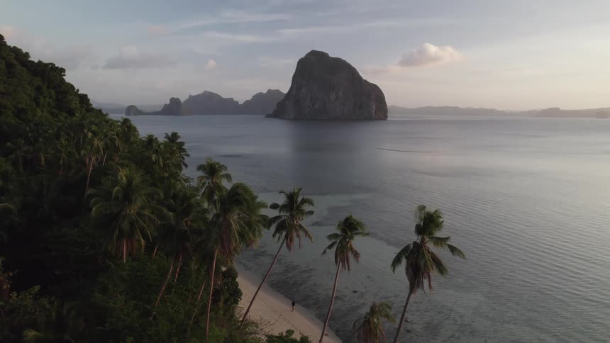 An aerial view of a tropical region with a person walking on the beach next to palm trees and a calm sea