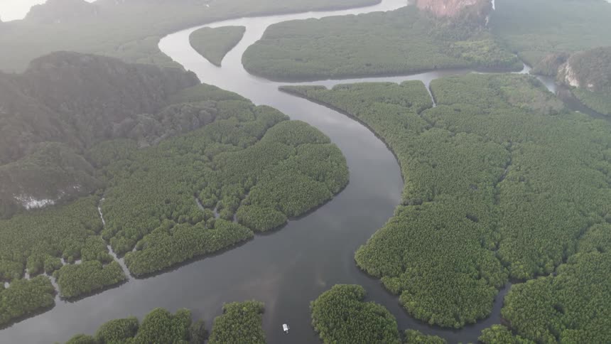 A river winds through trees and creates many inlets