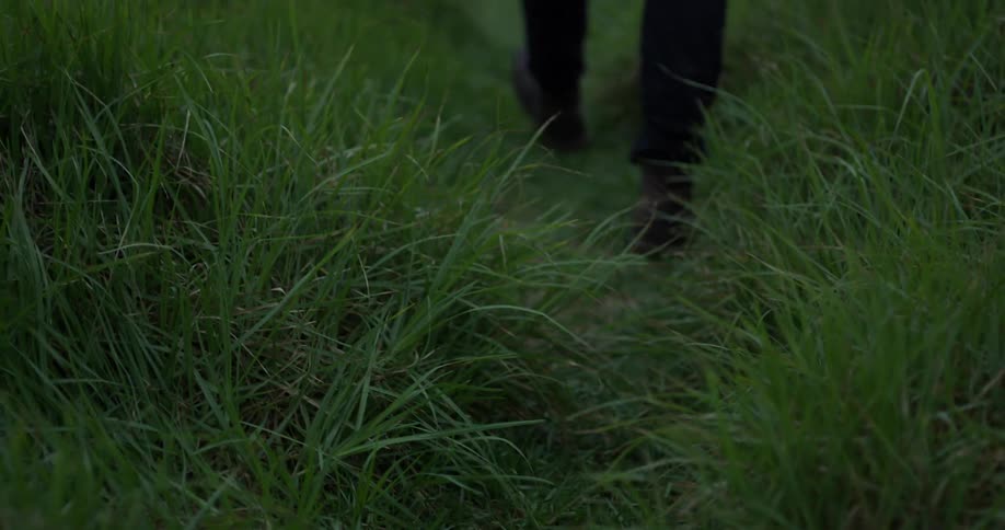 Man walking down a trail with high grass