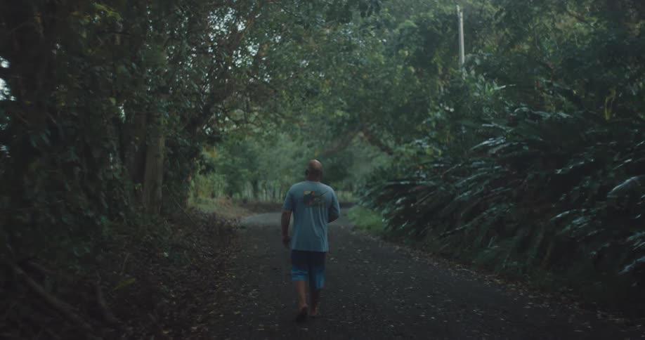 A man hikes down the trail in the forest