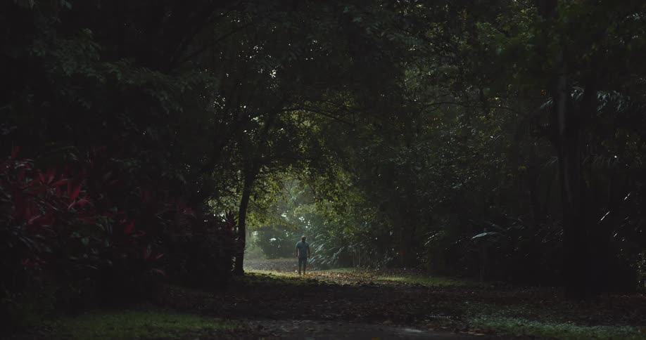 A man is walking through the dark forest