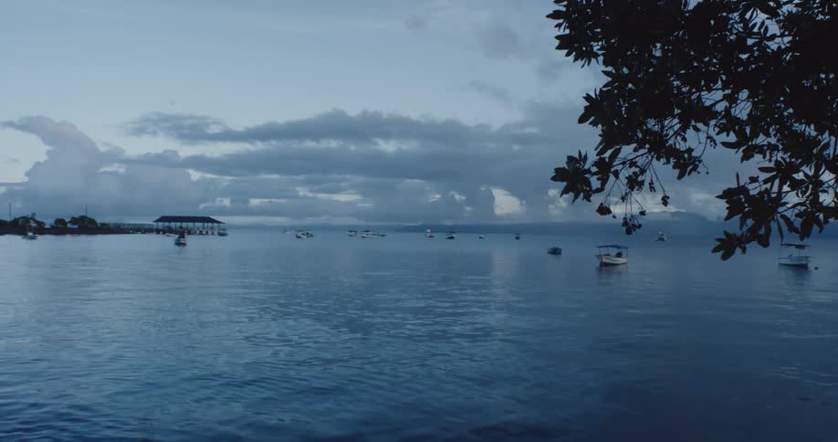 Boats are docked in a bay
