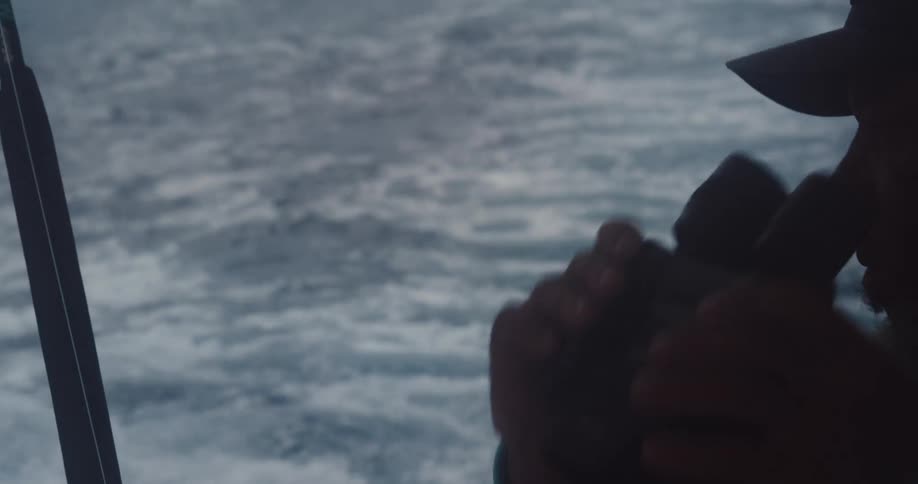 A person in a blue shirt and baseball cap holds binoculars while overlooking a choppy sea