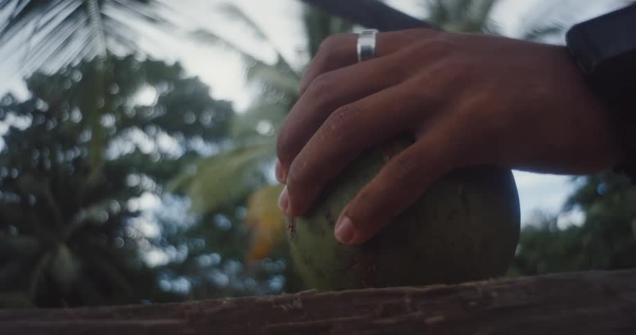 Close up of a person opening a coconut with a machete on a tropical setting