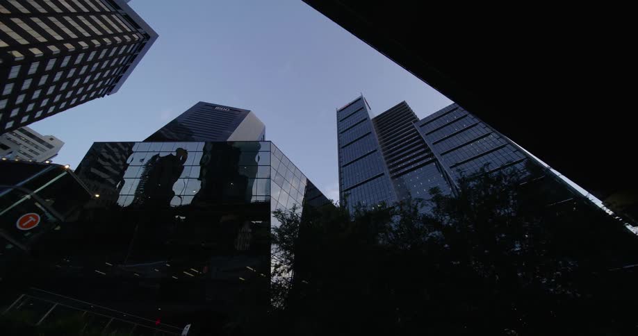 A tree pokes out underneath a tall skyscraper in a city