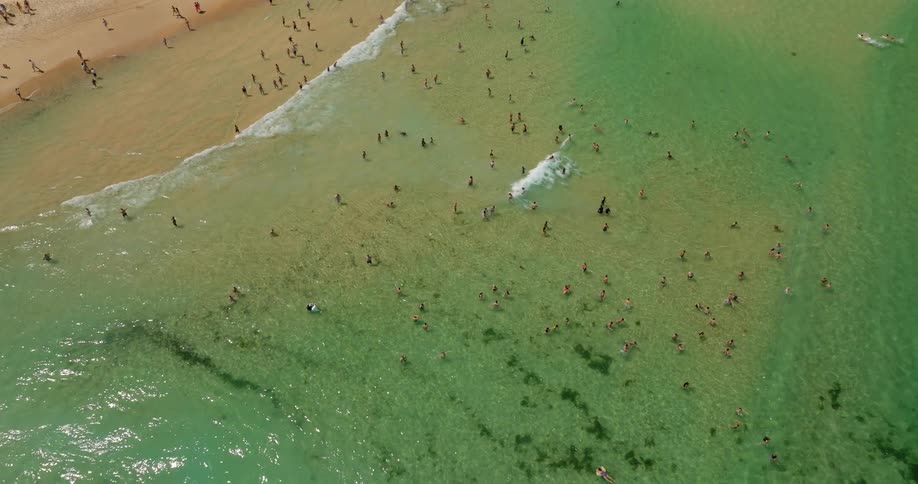 Aerial view of many people on the beach some relaxing on the sand while others play in the water where a wave is breaking creating ripples