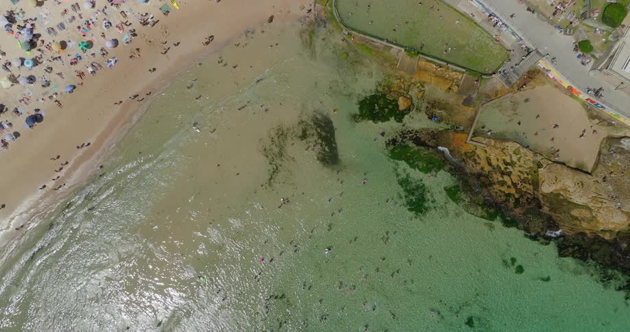 Aerial view of a crowd of swimmers enjoying a beach with greenish water