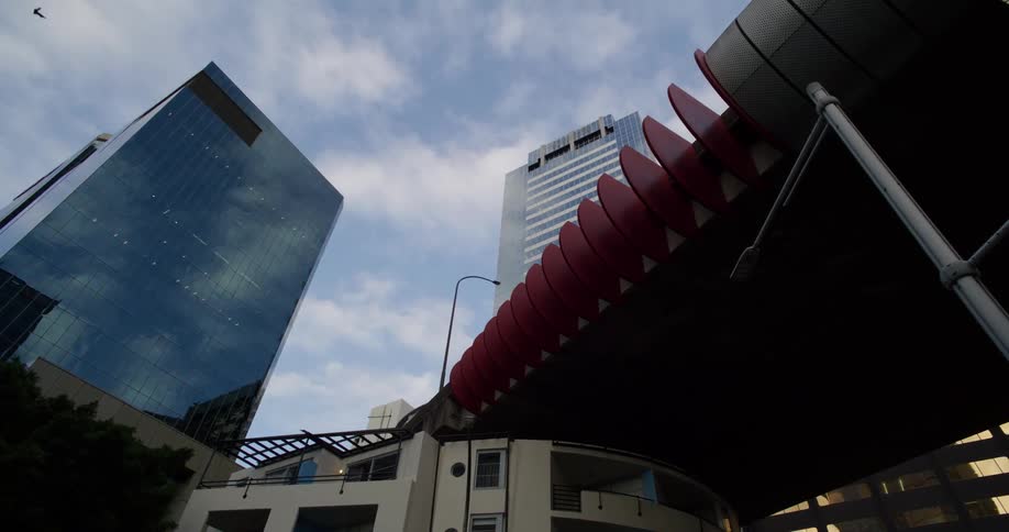 A bird flies by the building