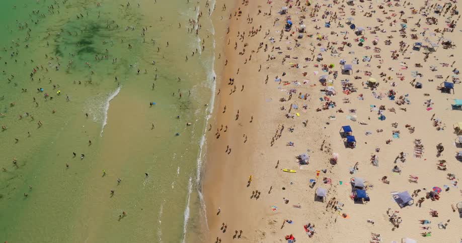 People are having fun on the beach