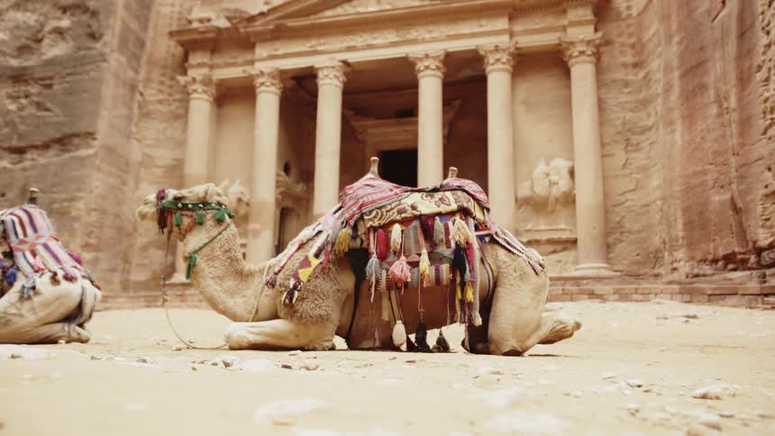 Two camels sitting in a desert location with a ruin with columns in the background