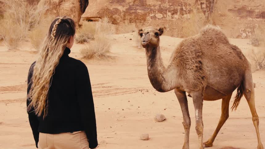 Woman with long hair stands in the desert near a cliff and watches a camel