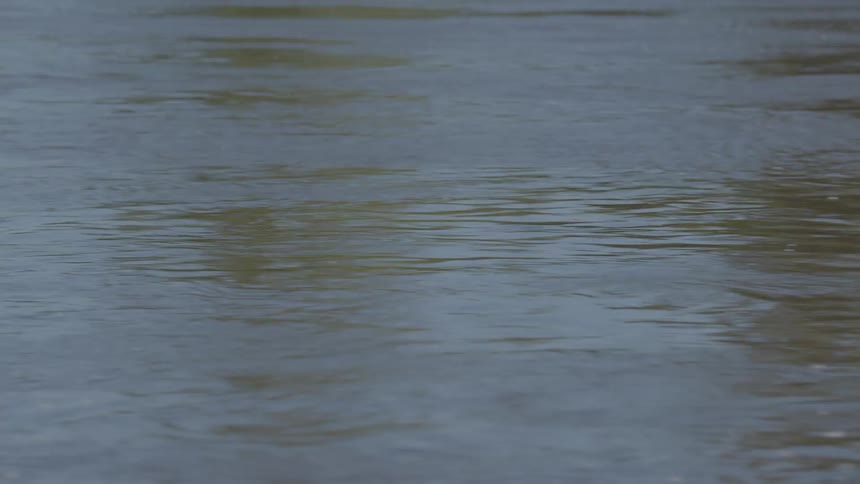 A close up of the calm surface of a running river