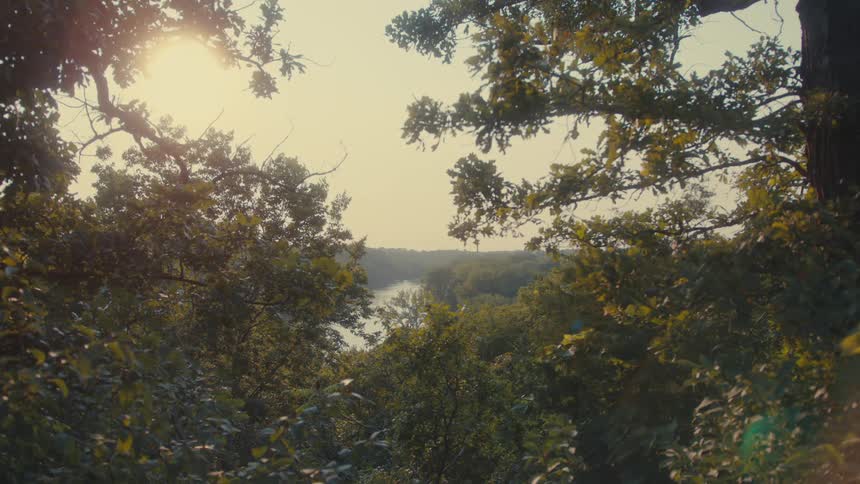 Looking through a gap in the trees at a river