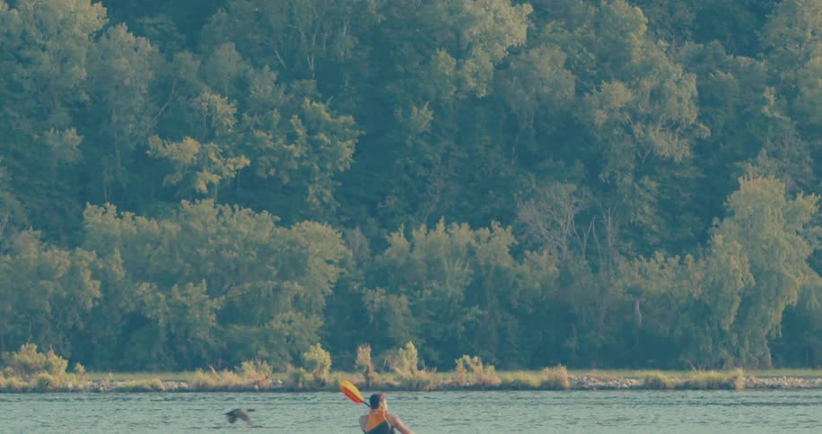 Person wearing a life jacket canoeing on a river with vegetation in the background