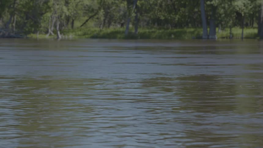 Flowing river and vegetation in the background