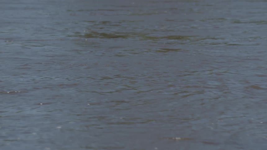 The surface of a choppy river ripples and shimmers under a cloudy sky