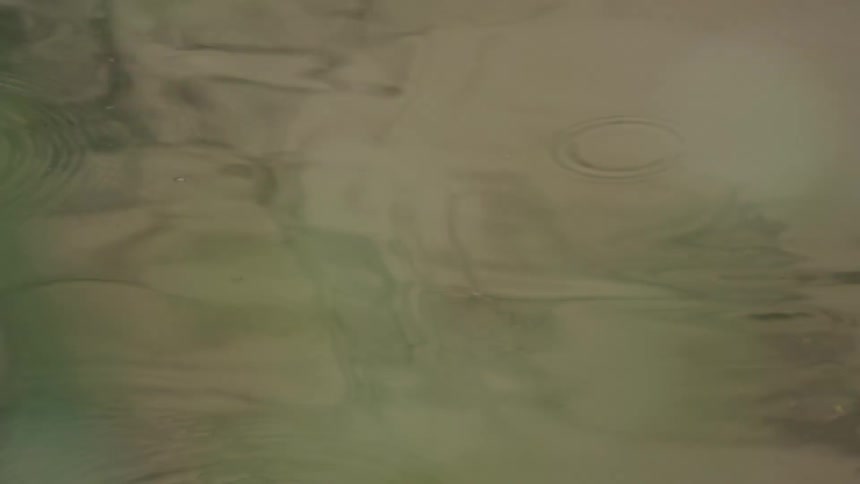 Water moving calmly