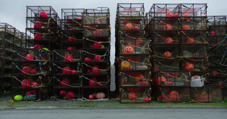 Rows of stacked crab traps line the waterfront ready for a day of fishing