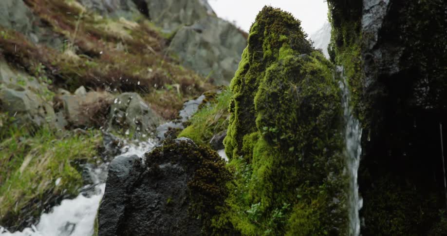 Water falling from rocks with moss