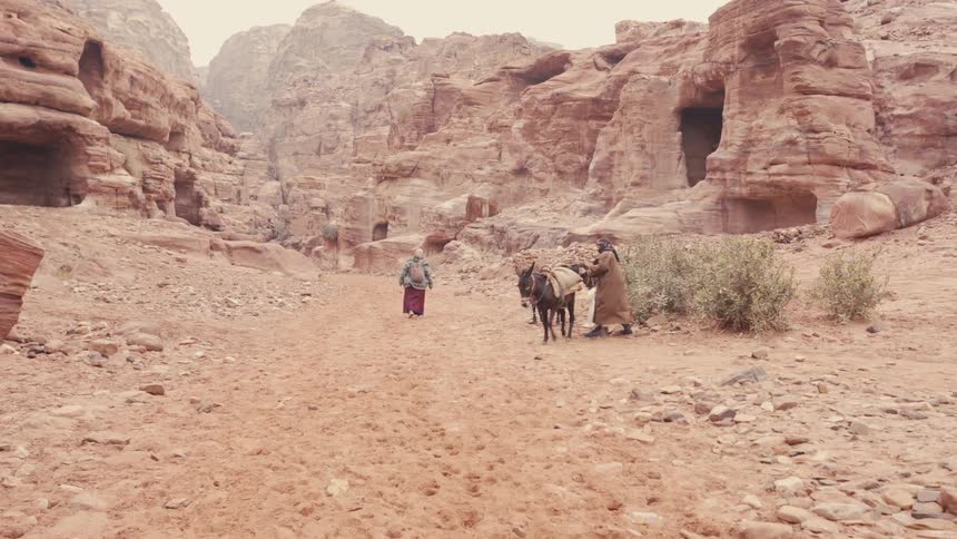 Scene in an arid canyon with reddish rock formations where two people interact near donkeys