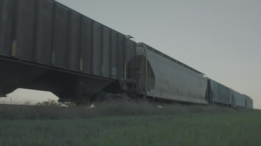 The sun is rising as the train passes