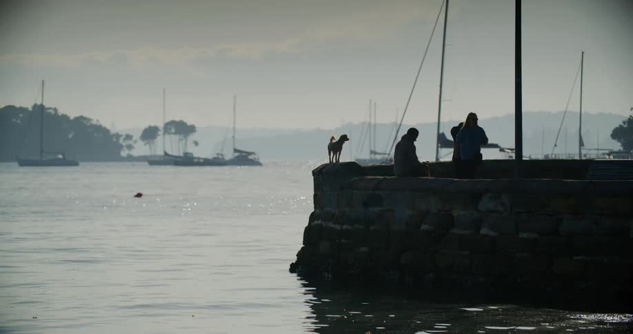 A silhouette of people and a dog standing on a stone pier overlooking a calm sea with several sailboats anchored in the distance under a cloudy sky