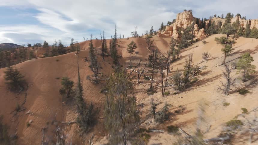 Aerial landscape of dry vegetation trees in ruins and canyons