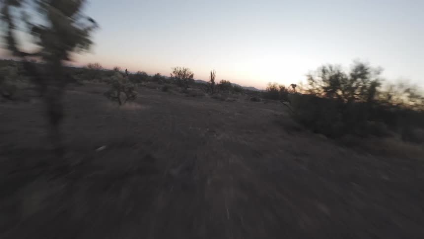 Natural area with sparse vegetation at dawn