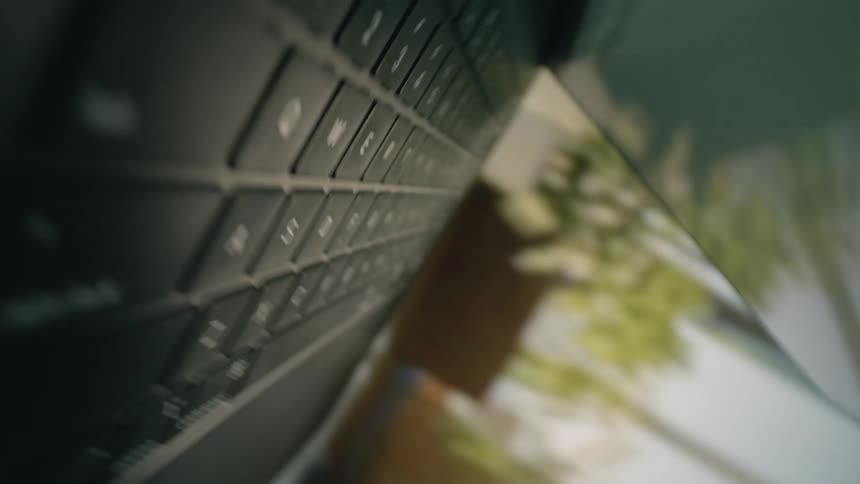 The person presses a key on the laptop keyboard and then closes the lid with houseplants in the background