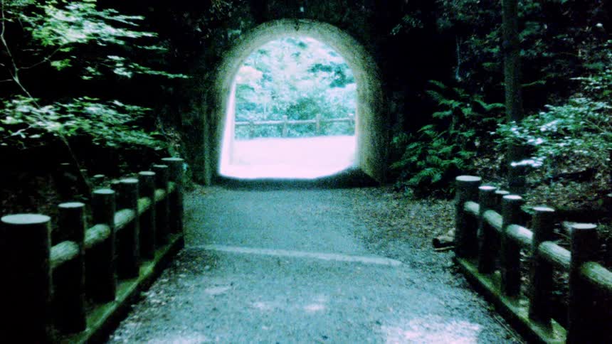A paved path with wooden railings leads through a dark tunnel towards a brighter opening surrounded by lush greenery