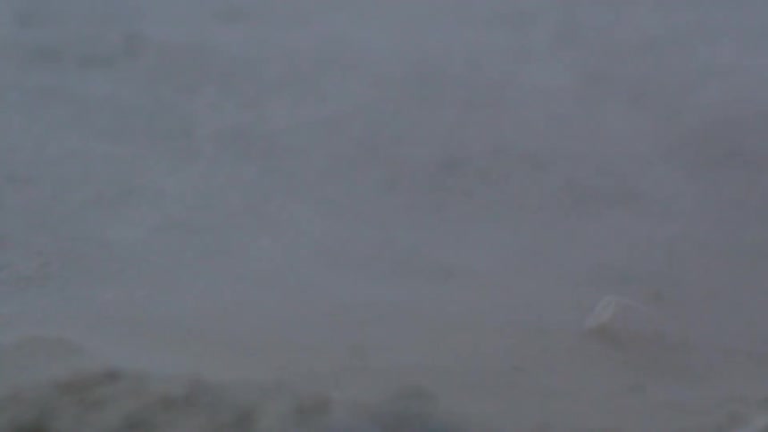 Closeup of sandy soil with a light cloud of dust rising